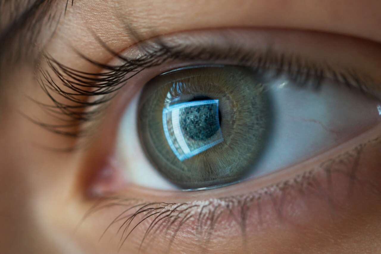 Comment l&rsquo;&oelig;il humain fabrique une image