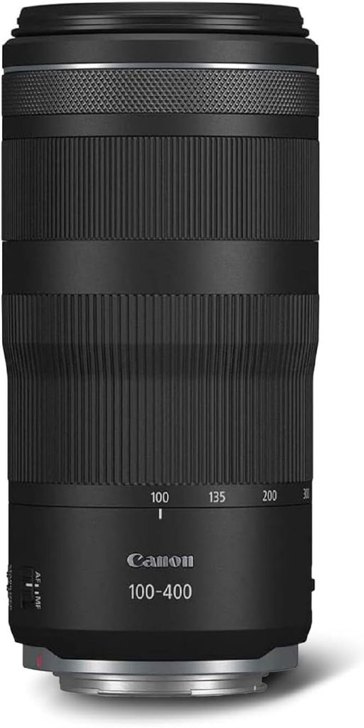 Test Canon RF 100-400mm : le téléobjectif zoom ultime
