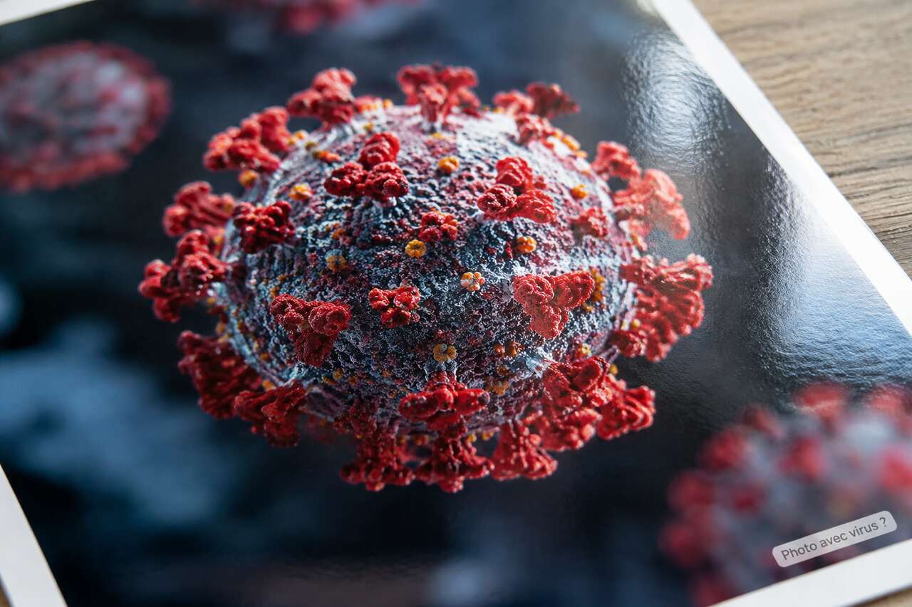 Une photo peut-elle contenir un virus ?