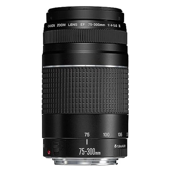 Découvrez notre test détaillé du Canon EF 75-300mm f/4.0-5.6 III : performances, qualité optique et verdict sur ce téléobjectif zoom abordable pour photographes amateurs. 