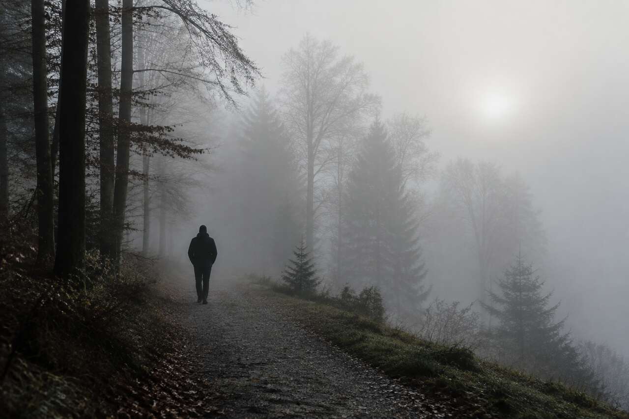 Composer avec la brume : minimalisme, profondeur et silhouettes