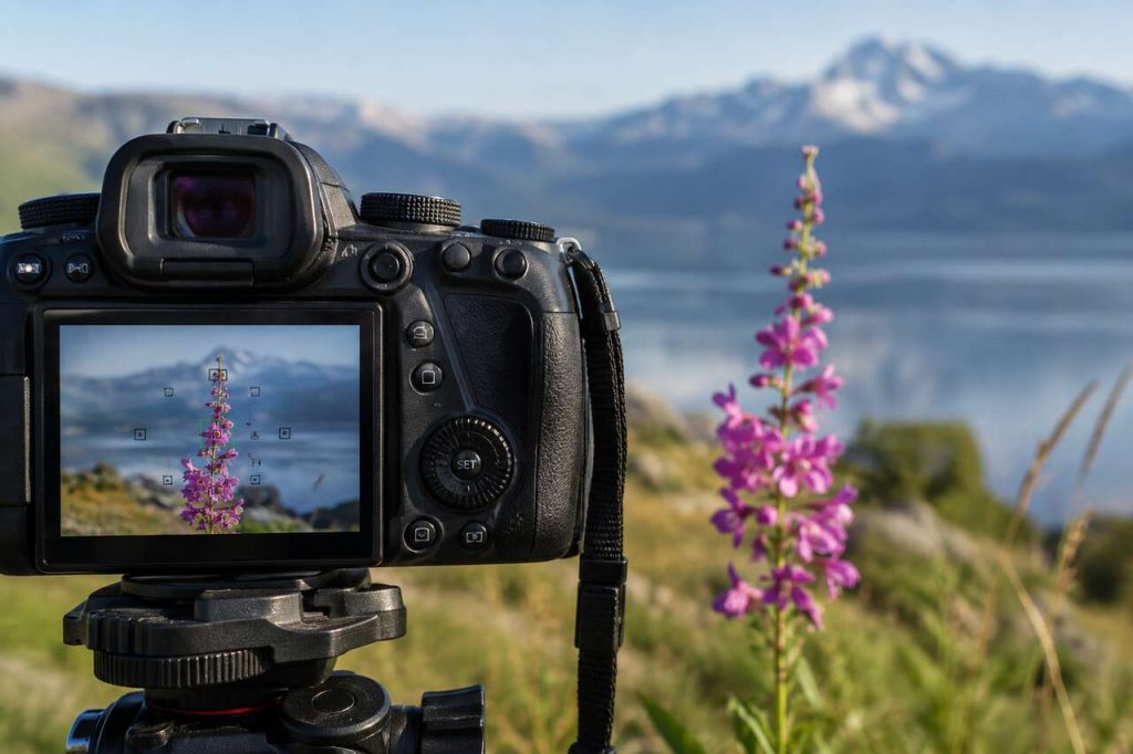 Autofocus : définition et fonctionnement en photographie