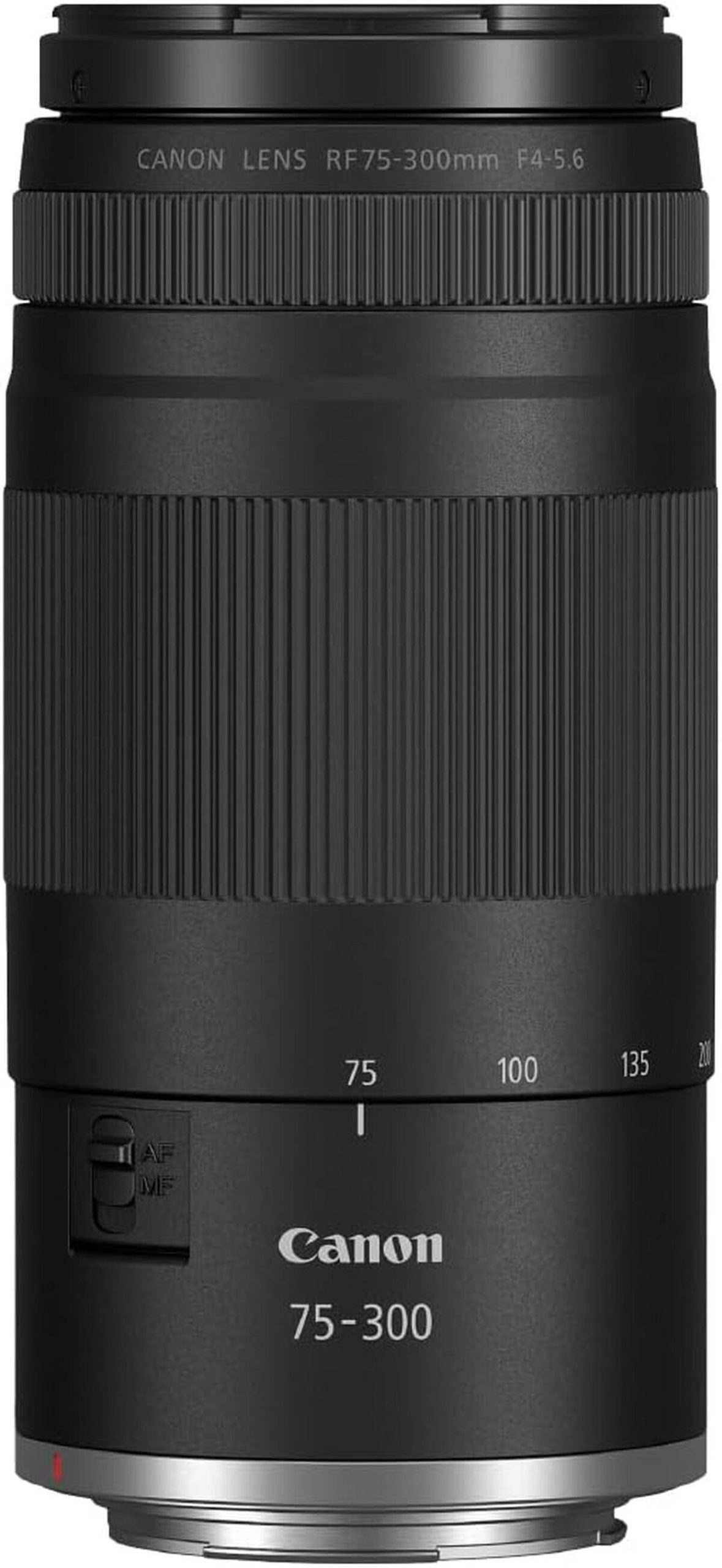 Test : objectif Canon RF 75-300mm, zoom pour photographie animalière